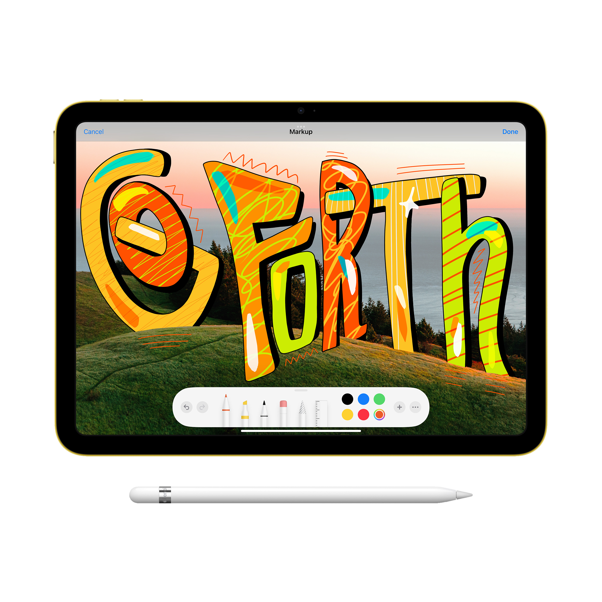 Apple iPad Pro (10.5-inch, Wi-Fi, 256GB) - Space Grey : Amazon.in:  Electronics